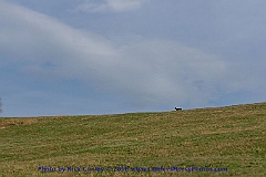 2016-03-30-134