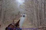 2019-03-29-326