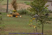 2019-10-06-076