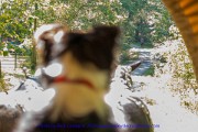 2021-09-27-085