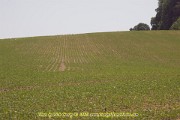 2023-06-09-055
